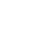 STEAM